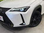 LEXUS UX250h