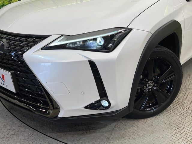 LEXUS UX250h
