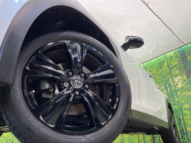 LEXUS UX250h