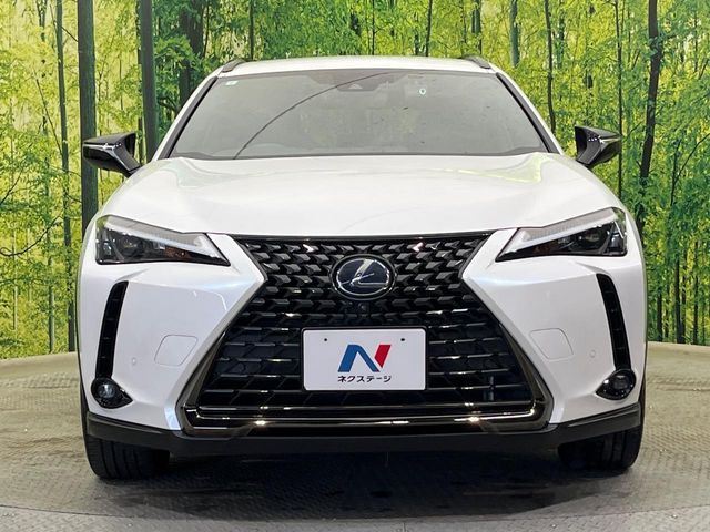 LEXUS UX250h