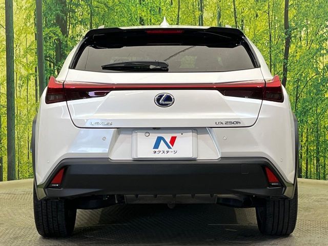 LEXUS UX250h