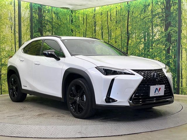 LEXUS UX250h