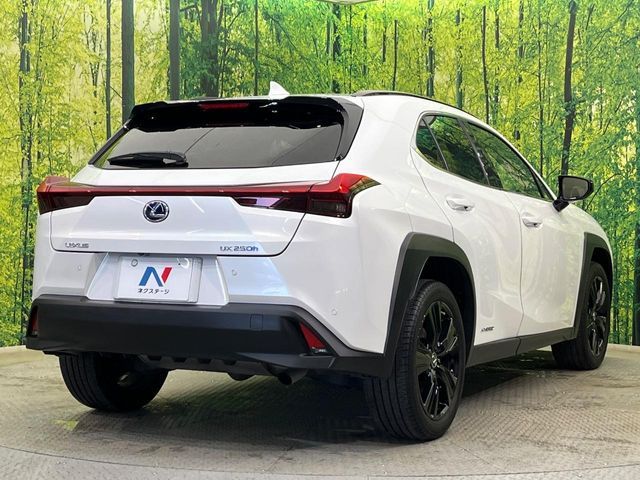 LEXUS UX250h