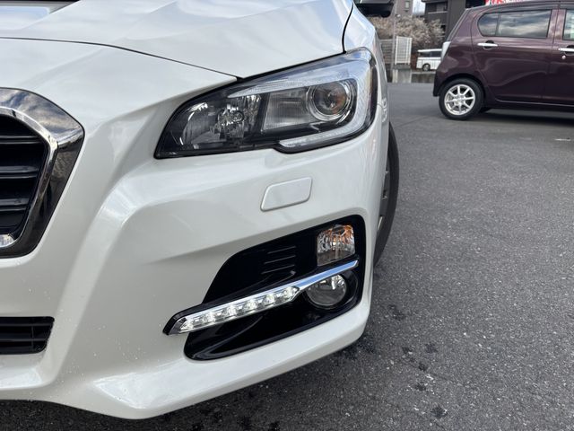 LEVORG