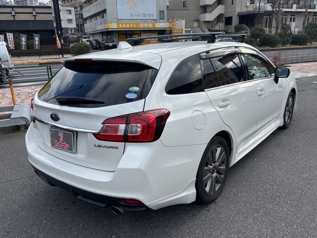 LEVORG