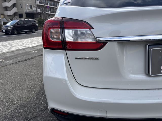 LEVORG