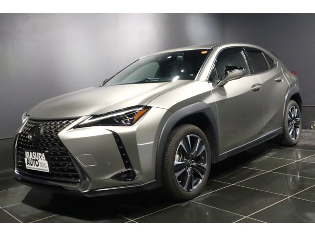 LEXUS UX250h AWD
