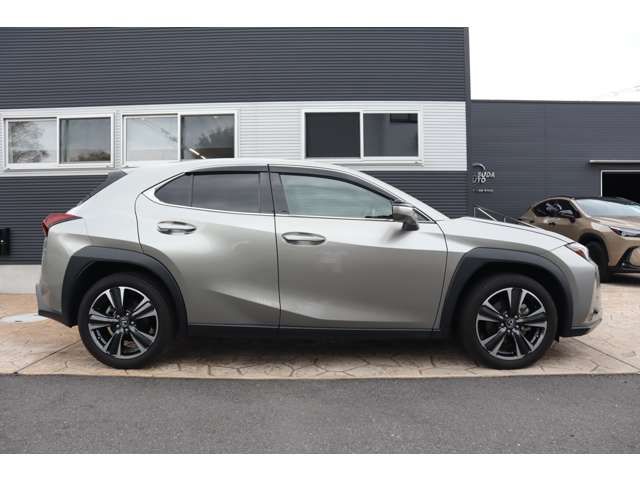 LEXUS UX250h AWD