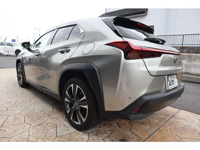 LEXUS UX250h AWD