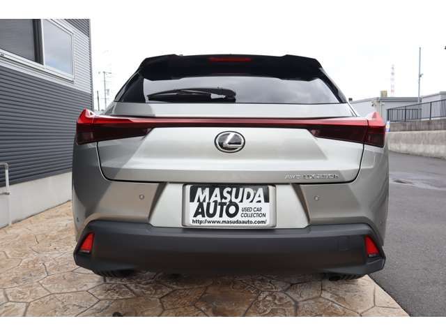LEXUS UX250h AWD