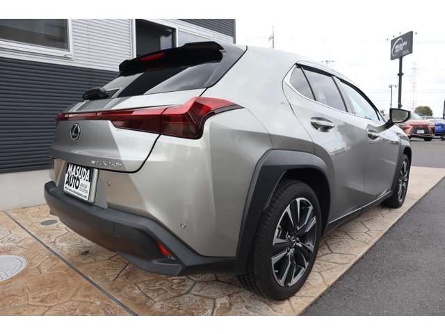 LEXUS UX250h AWD