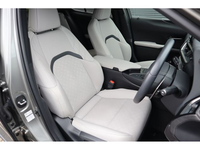 LEXUS UX250h AWD