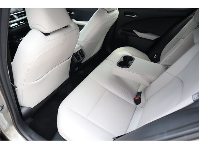 LEXUS UX250h AWD