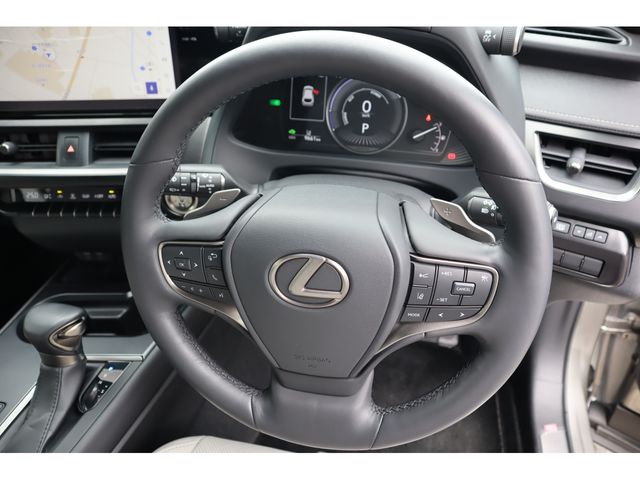 LEXUS UX250h AWD