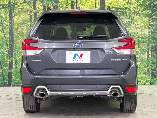 FORESTER