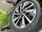 SERENA  S-HYBRID