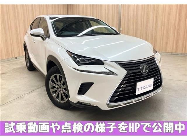 LEXUS NX300