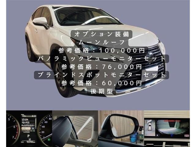 LEXUS NX300