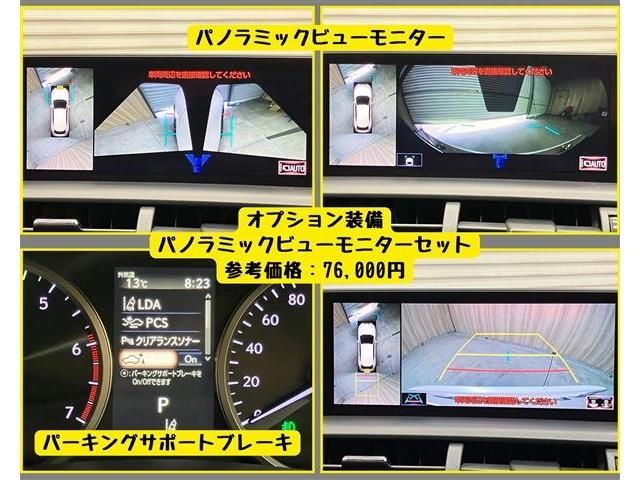 LEXUS NX300