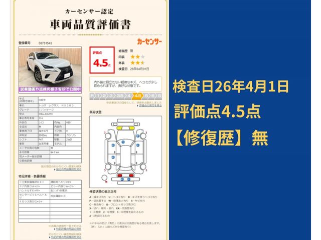 LEXUS NX300