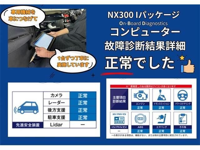 LEXUS NX300