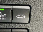LEXUS NX300
