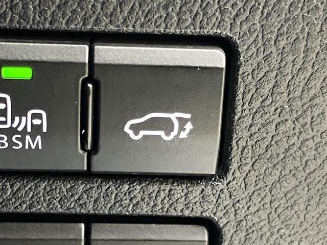 LEXUS NX300