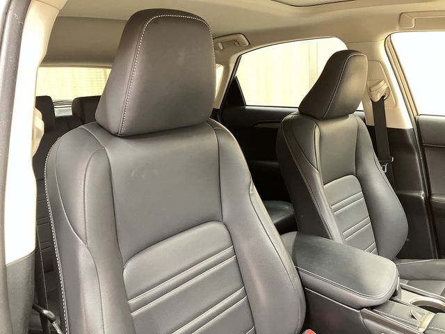 LEXUS NX300