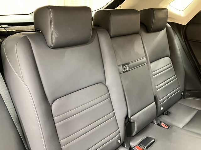 LEXUS NX300