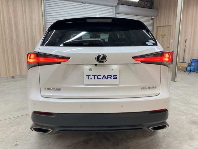 LEXUS NX300