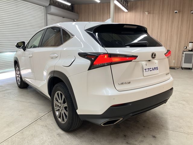 LEXUS NX300