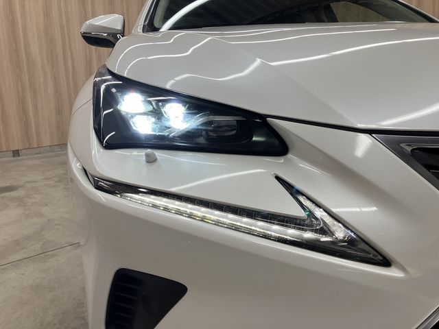 LEXUS NX300