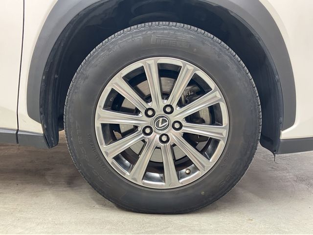 LEXUS NX300