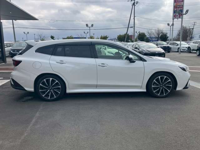LEVORG