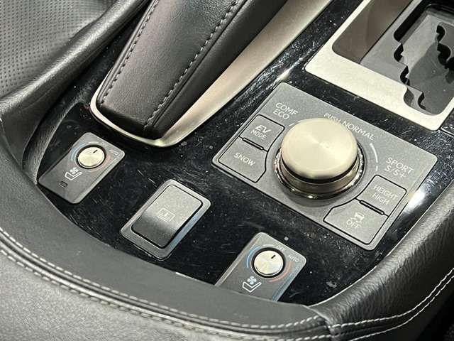LEXUS LS600h