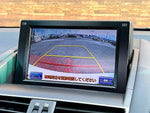 LEXUS HS250h