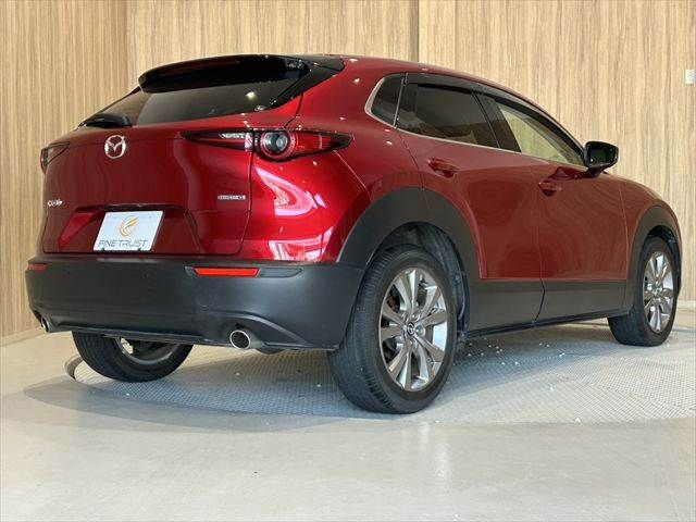 CX-30