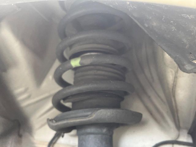 DAYZ ROOX