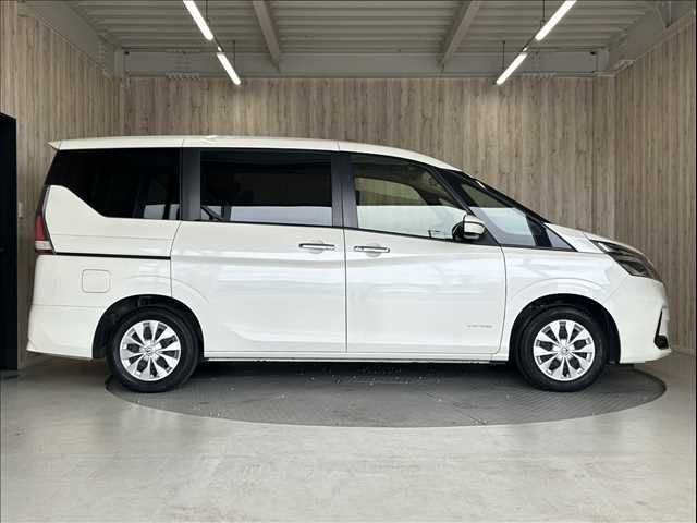 SERENA  S-HYBRID