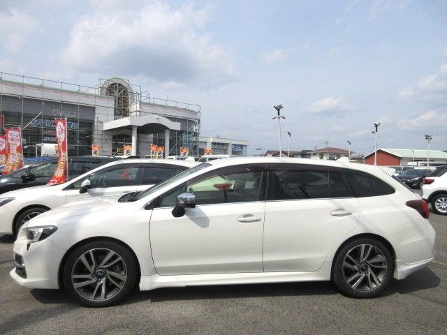 LEVORG