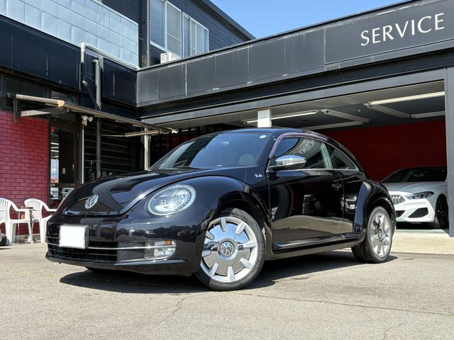VOLKSWAGEN The BEETLE