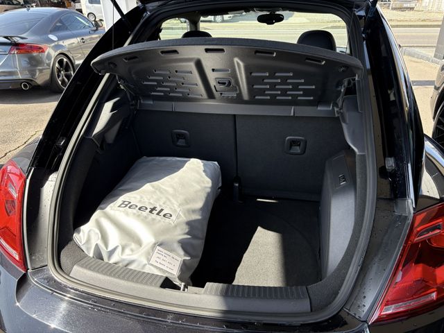 VOLKSWAGEN The BEETLE