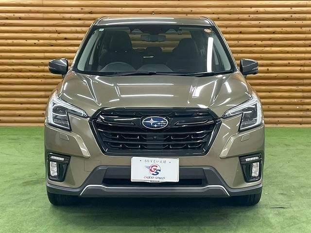 FORESTER