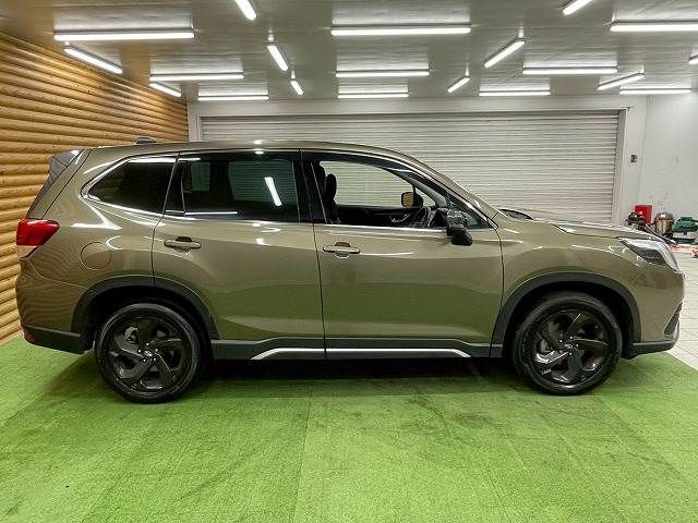 FORESTER