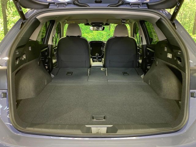 LEVORG LAYBACK