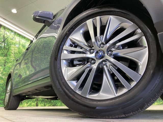 LEVORG LAYBACK