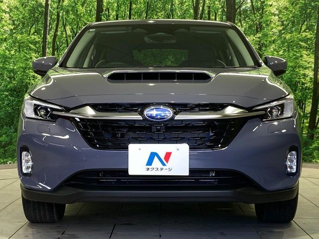 LEVORG LAYBACK