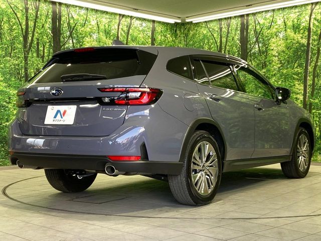 LEVORG LAYBACK