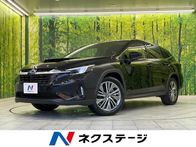 LEVORG LAYBACK
