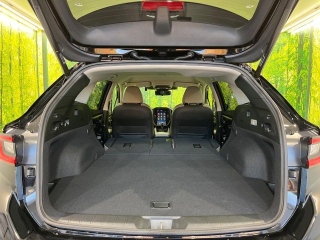 LEVORG LAYBACK